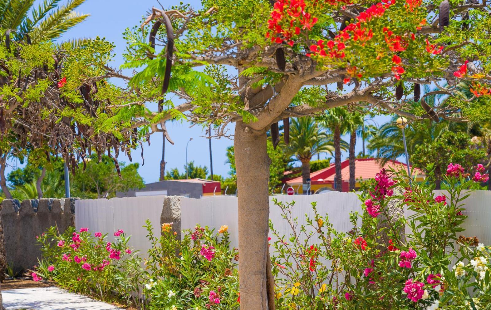 Bungalows Las Almenas Maspalomas  Bagian luar foto